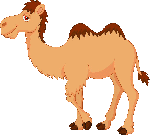 bactrian camel cartoon