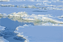 tundra ice