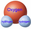 water molecule with 2 hydrogen and an oxygen