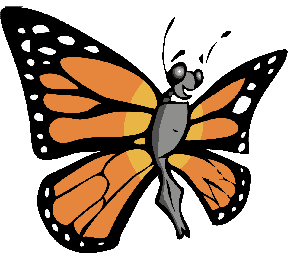 butterfly cartoon