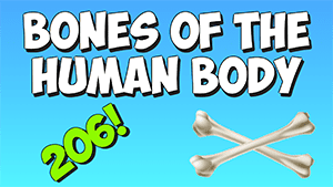 bones song thumb