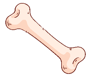 bone cartoon