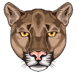 cougar cartoon 