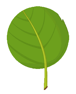 round leaf cartoon