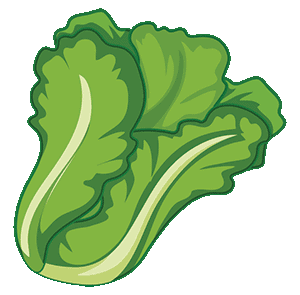 lettuce cartoon