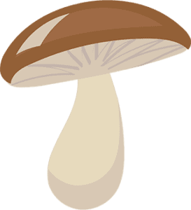 mushroom cartoon 