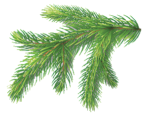 pine needles cartoon