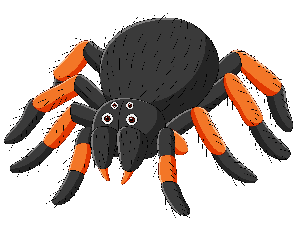 tarantula cartoon