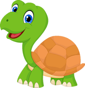 turtle cartoon 