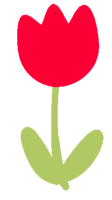 red tulip
