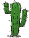 cactus cartoon