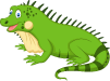 Lizard Cartoon